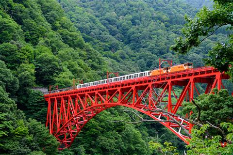 黒部峡谷トロッコ電車（やまびこ遊歩道より撮影）